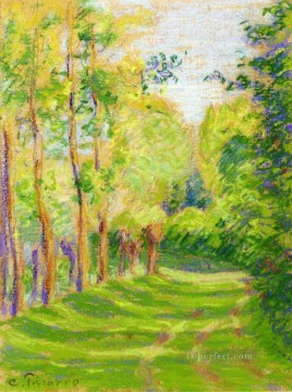 paisaje en san carlos Camille Pissarro Pinturas al óleo